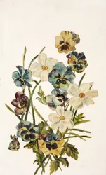 Naturaleza Muerta, Pensamientos y Narcisos
